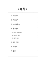 [마케팅] 현대자동차 에쿠스 EQUUS 2009 마케팅전략-2
