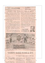 [서비스 경영론] 대구도시철도공사의 서비스실태 분석-15