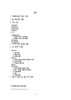 [국제마케팅] 라네즈 LANEIGE의 중국진출-2