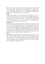 [해외 시장 진출 전략 분석] 농심의 중국 시장 진출-11