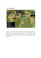 [국제 마케팅] 현대 자동차의 국제 마케팅 사례-6