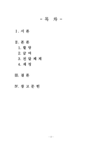 임금피크제 레포트-2