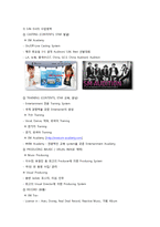 [마케팅] SM ENTERTAINMENT(SM 엔터테인먼트) 마케팅전략-5