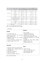 [국제마케팅] 닌텐도 해외시장 진출 전략-19