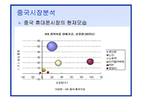 [국제마케팅] 삼성 애니콜 중국진출전략-5