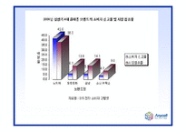 [국제마케팅] 삼성 애니콜 중국진출전략-9