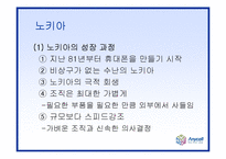 [국제마케팅] 삼성 애니콜 중국진출전략-13