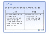 [국제마케팅] 삼성 애니콜 중국진출전략-15