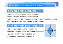 [MIS, 경영정보시스템] 조직과 정보시스템-13