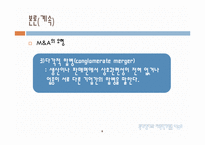 [다국적기업] 해외 M&A의 투자기법과 방어기법의 유형-8