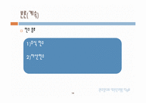 [다국적기업] 해외 M&A의 투자기법과 방어기법의 유형-16