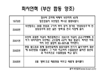 [국제경영] 생탁 막걸리 일본시장 진출전략-12