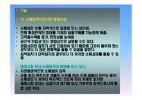 국내 재래시장의 활성화사례 분석및 시사점-6