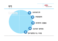 듀폰 DUPONT 국제경영전략-2