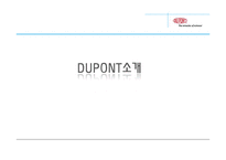 듀폰 DUPONT 국제경영전략-3