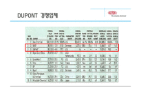 듀폰 DUPONT 국제경영전략-14