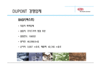 듀폰 DUPONT 국제경영전략-15