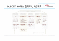 듀폰 DUPONT 국제경영전략-19