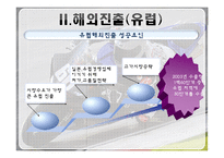 [글로벌 경영] 홍진크라운 `HJC`에 대한 사례연구 -연구개발의 글로벌화 & 신제품 개발-13