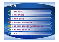 해외 M&A의 투자기법과 방어기법의 유형-2