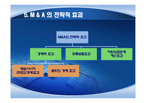 해외 M&A의 투자기법과 방어기법의 유형-8