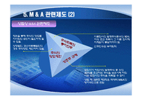 해외 M&A의 투자기법과 방어기법의 유형-18