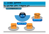 [경제체제론] 소련의 시장 경제체제모형-12