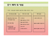 [마케팅조사] 폴로와 빈폴 선호도 조사-2