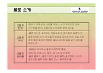 [마케팅조사] 폴로와 빈폴 선호도 조사-4