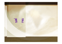 [마케팅] 비빔밥의 세계화-14