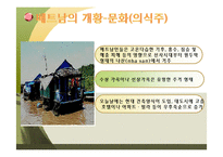 [국제경영] 베트남 금융위기와 경쟁력 분석-9