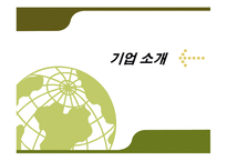 [경영전략] Southwest Airline(사우스 웨스트 항공) 성공전략-5