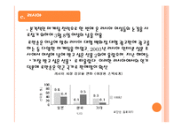 [국제마케팅] 로만손 글로벌 마케팅전략-16