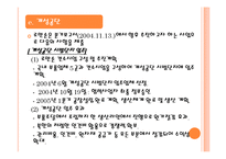 [국제마케팅] 로만손 글로벌 마케팅전략-18
