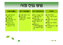 [국제경영] 김 일본 진출-11