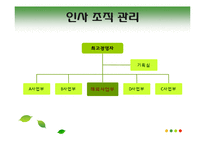 [국제경영] 김 일본 진출-14