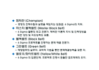 Six-Sigma(6시그마, 식스시그마)-11