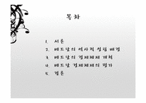 [경제체제론] 베트남의 시장경제체제모형-2