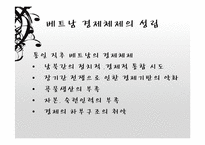 [경제체제론] 베트남의 시장경제체제모형-6