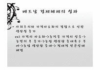 [경제체제론] 베트남의 시장경제체제모형-19