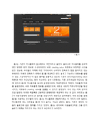 [마케팅] 싸이월드 분석-5