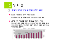 [국제경영] 삼성 애니콜 중국시장에서의 전략-3