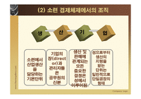 [경제체제론] 소련의 시장경제체제모형-9