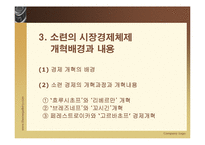 [경제체제론] 소련의 시장경제체제모형-16