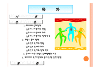 우리나라와 프랑스 관광정책 비교 -축제를 중심으로-2