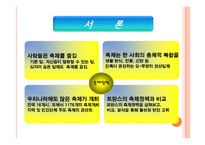 우리나라와 프랑스 관광정책 비교 -축제를 중심으로-4
