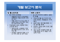 Oscar Mayer 사례 레포트-5