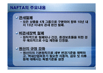 [경제론] NAFTA 나프타 체결이 미치는 영향-7