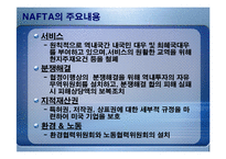 [경제론] NAFTA 나프타 체결이 미치는 영향-9