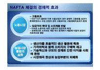 [경제론] NAFTA 나프타 체결이 미치는 영향-11